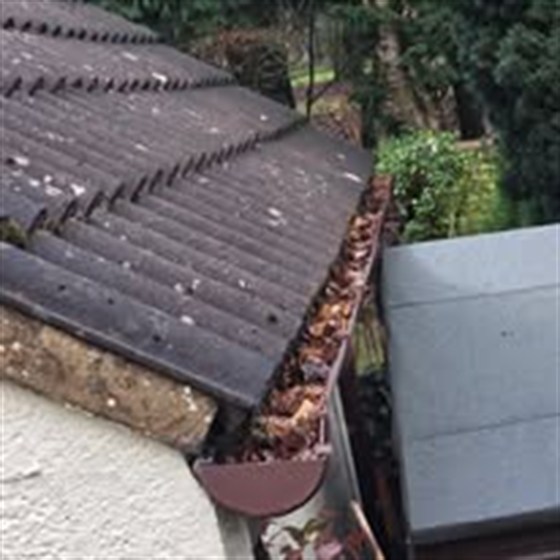 Gutter Clearing by B's Windows & Exterior Cleaning in Saffron Walden